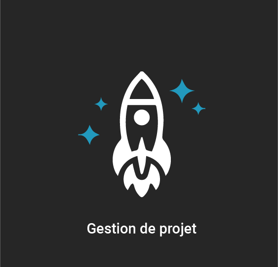 Gestion de projet - CEICOM ERP