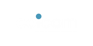 logo ceicom