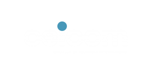 Logo site ceicom